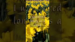 I wandered lonely as a cloud or Daffodils by William Wordsworth  The Art That Whispers poetrypoem [upl. by Power]