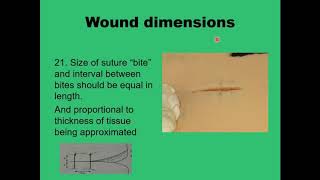 9 Surgical Suturing  The Basics [upl. by Emirej790]