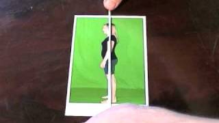 Use the plumb line for postural analysis [upl. by Nihcas]