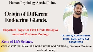 Origin of Different Endocrine lands PGT BIOLOGY CSIRGATERPSCMPPSCHPSCBPSC  ZOOLOGYNEET [upl. by Svensen686]