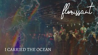 Florissant  I Carried The Ocean Unofficial Music Video [upl. by Mishaan]