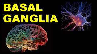 Chp10 Basal Ganglia  Basal Nuclei  Snells NeuroAnatomy  Dr Asif Lectures [upl. by Katha]