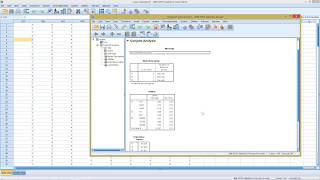 SPSS  Conjoint Analysis [upl. by Leivad]