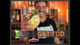 Gin Tônica  Receita EXCLUSIVA TDD [upl. by Ardied922]