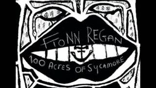 Fionn Regan  Sow Mare Bitch Vixen [upl. by Artim]