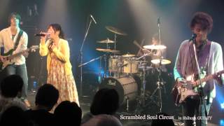 Shade” Live at 渋谷GUILTY 20150425 [upl. by Herod]