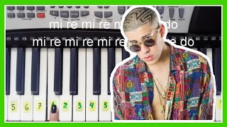 Amorfoda en piano  bad bunny  notas musicales [upl. by Ellemaj]