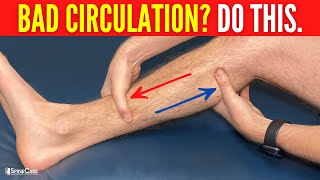 How to INSTANTLY Improve Leg Circulation and Blood Flow [upl. by Pratt]