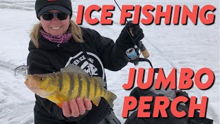 Ice Fishing Perch How to Ice Fish JUMBOS  Tailored Tackle Ice Fishing 2019  Episode 1 [upl. by Kyne]