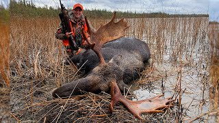 Great Grouse and BIG Moose in Northern Ontario  Canada in the Rough [upl. by Fransisco88]