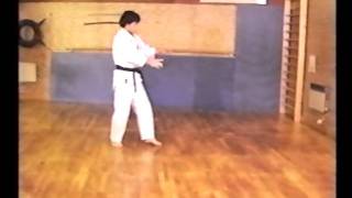 Kenji Tokitsu Kata Jion [upl. by Putscher517]