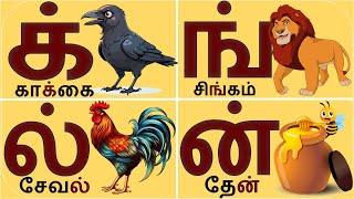 மெய்யெழுத்துக்கள் க் ங் ச் ஞ் ட் ன்TAMIL CONSONANTSTamil mei eluthukkal Pulli vaitha eluthukkal [upl. by Yecnuahc]