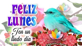 Feliz lunes dios te bendiga con frases bonitas para ti 🌸Feliz lunes e inicio de semana bendiciones [upl. by Jorry]