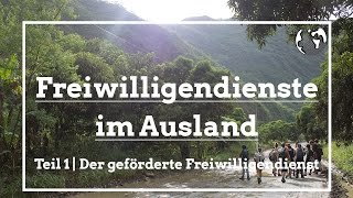 Freiwilligendienste im Ausland  Freiwilligenarbeitde [upl. by Josefina613]