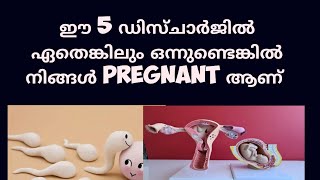 5 different types of early Pregnancy discharge Malayalam Deechus world [upl. by Oina]