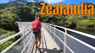 Zealandia Wellington New Zealand Long version [upl. by Ainsworth639]