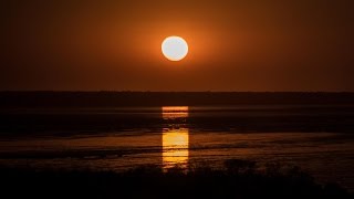 Staircase to the moon  Time Lapse Video  Broome  Australia [upl. by Vladamar630]