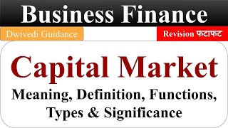 Capital market capital market type business finance lucknow university BCom UGC [upl. by Carmita]