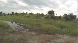 Botswana Boteti river [upl. by Nedarb]