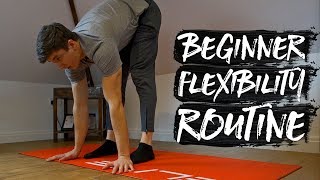 15 Minute Beginner Stretch Flexibility Routine FOLLOW ALONG [upl. by Mharg919]