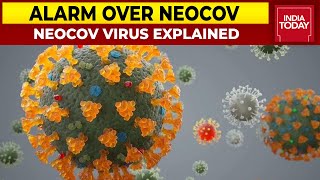 NeoCoV Explained Know Everything About The New Virus That Is Creating Panic  India Today [upl. by Boonie438]