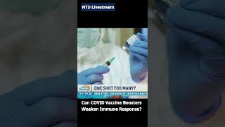 Can COVID Boosters Harm Immune Response  NTD Good Morning [upl. by Yror509]