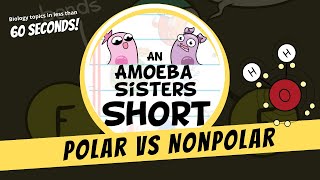 Polar vs Nonpolar  Amoeba Sisters Shorts [upl. by Rimaa]