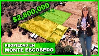 VENTA de TERRENO en Carretera Monte Escobedo  Laguna Grande [upl. by Dixil]