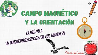 Campo magnético y la orientación [upl. by Berlin]