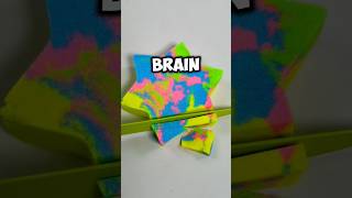 FunfactsHow long brain work after Death [upl. by Gina]