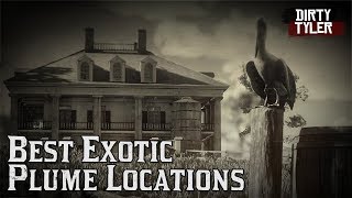 Red Dead Redemption 2 Best Exotic Bird Plume locations for Duchesses and other animals mission RDR2 [upl. by Mcgrath745]