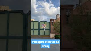 Passagens secretas da Disney disney shorts shortsvideo traveller travel hollywoodstudios [upl. by Edda493]