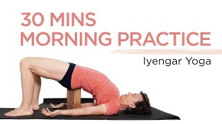 Iyengar Yoga for Beginners [upl. by Felt317]