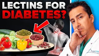 Are Lectins Bad For Diabetics [upl. by Yasnil31]