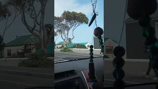 Uber  part 2 Kommetjie CapeTown SA [upl. by Alekal]