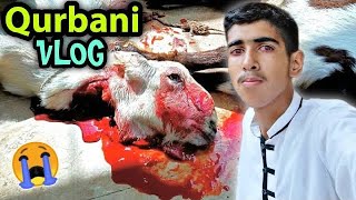 Bakra Eid Vlog 2022 🔥 Qurbani Vlog 😎 Ibrahim Asim Vlogs [upl. by Barcot]