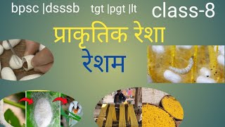 BPSC DSSSB TGT PGT LT NET GIC home science silk रेशम Textile Education9285 [upl. by Pyne]