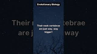 Evolutionary Biology 1 [upl. by Marlette803]