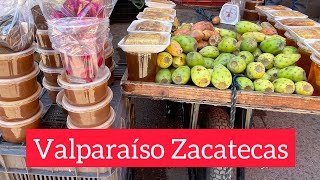 MIEL Y TUNAS  Tianguis de Valparaíso Zacatecas 2024  Domingo 20 de Octubre [upl. by Raffaj577]