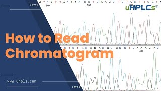 How to Analyse HPLC Data  Maybe You Can Study from this Video [upl. by Specht]