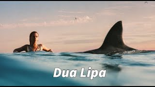 𝐩𝐥𝐚𝐲𝐥𝐢𝐬𝐭 내가 들으려고 만든 두아리파 내한 셋리스트 l Dua lipa Concert Setlist [upl. by Ical]