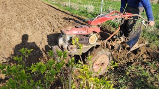 🇲🇫 LABOUR DU JARDIN AVEC LE MOTOCULTEUR ISEKI KT500 [upl. by Ainahpets]