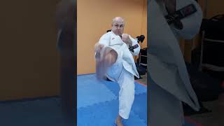 KARATEDO shorts martialarts karate shotokan [upl. by Vinna]