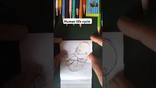 Human life cycle art shorts drawing [upl. by Sloan]