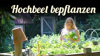 Hochbeete bepflanzen 🎍 Agretti im Garten 🎍 Salat anbauen 🎍 Permakultur [upl. by Akemat]