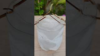 Icy Glass 🥶 With Cola Masala 😱😱 shorts shortsfeed youtubeshorts [upl. by Sudoeht]