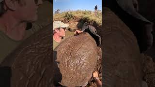 Baby Elephant And Mom Are Stuck In A Well Full Of Water  The Dodo [upl. by Isolde]