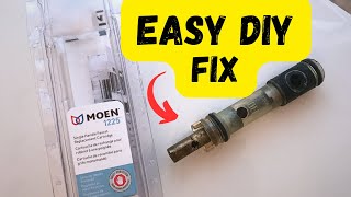 How to Replace a Moen Shower Valve Cartridge 1225 [upl. by Cris]