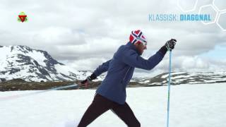 Skiteknikk med OddBjørn Hjelmeset Klassisk Diagonal [upl. by Limann]