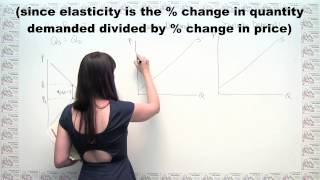 Microeconomics Practice Problem  Taxes and Elasticity [upl. by Vala330]